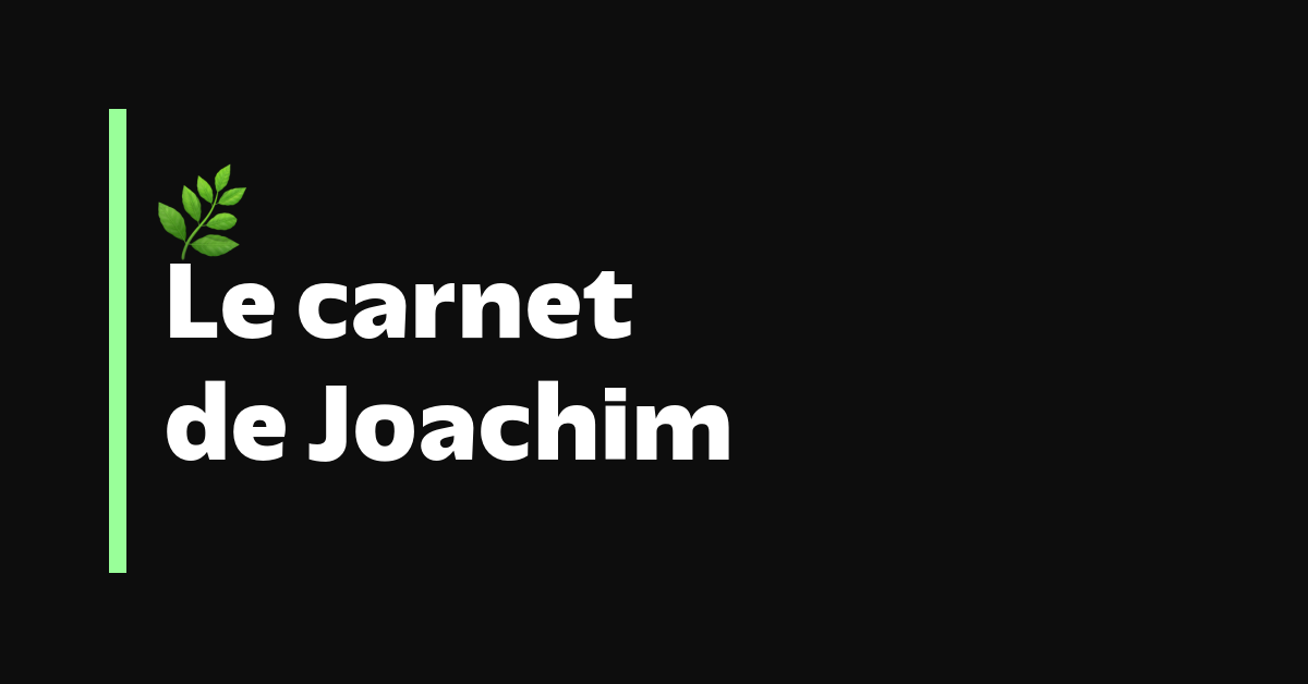 Résultats pour Mesh – Le carnet de Joachim